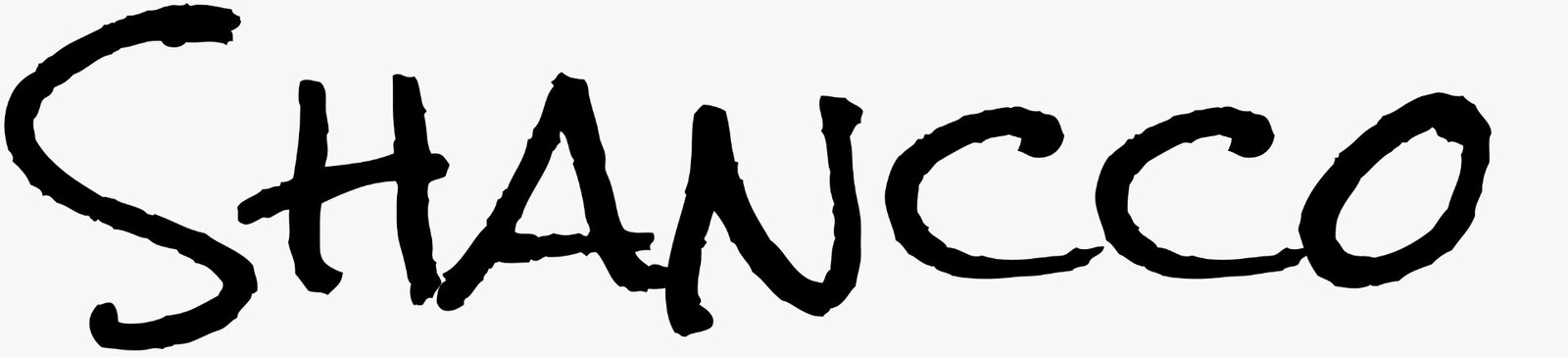 Shancco logo